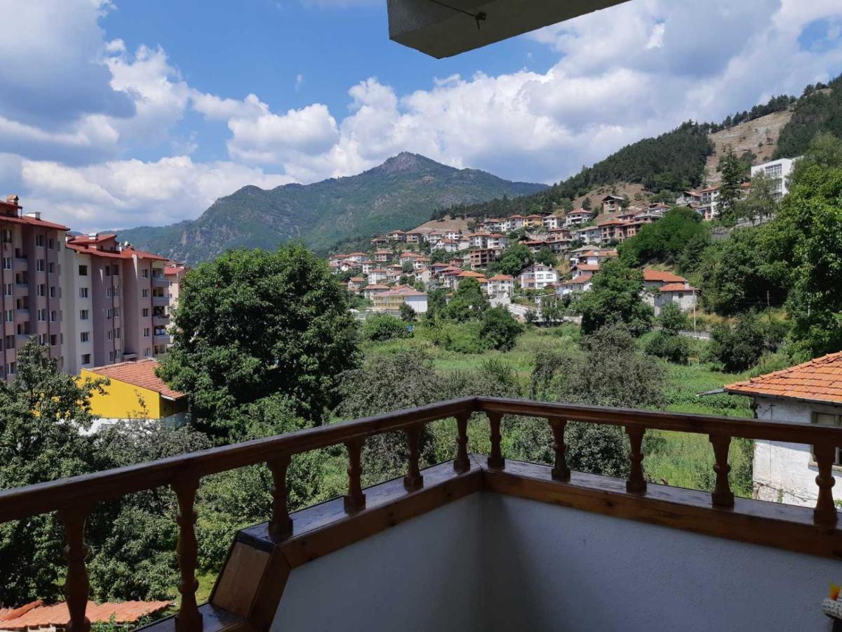 Къща Томови,стаи за гости Девин Экстерьер фото